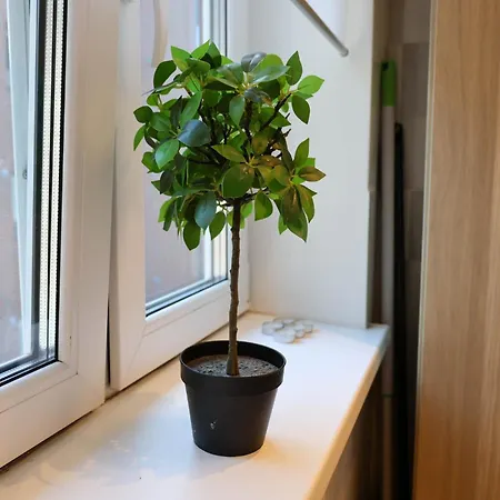 Apartment 15min Walk To Oldtown, Dishwash, Parking, Aircon Tallinn